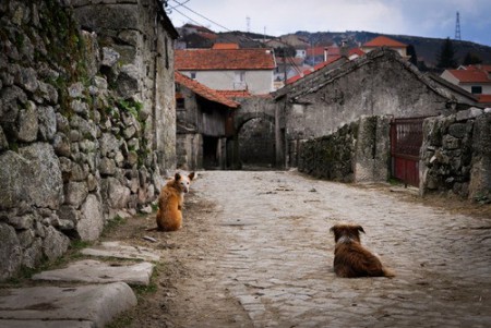 Una bella calle antigua conservada junto al mejor amigo de el hombre.